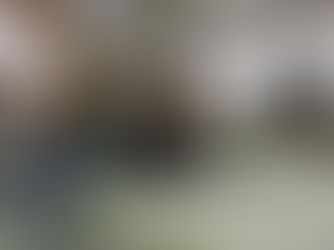 BAMH Announces UTEP Proclamation