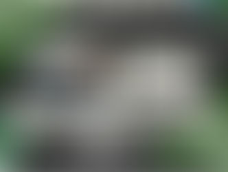 Abdominal & Weight Toning