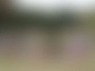 Cross Country teams report