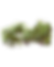 koa bush transparent (2).png