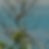16.png
