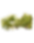 Koa Tree cut out (lighter).png