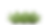 fern bush trans.png