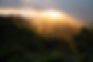 background homepage - 1.jpg