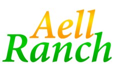 44B12583-1FCF-40AF-B580-2E22C327B0ED (1).PNG