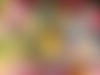 翆春の各月生まれさん占い 11月の占い