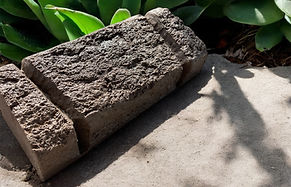 Photoroom_20250121_111145.JPG