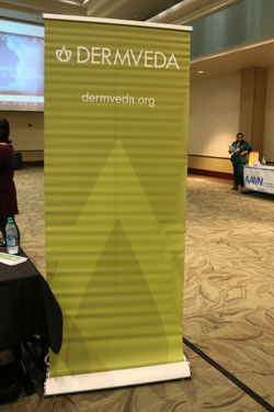 IMG_3384