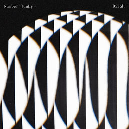 Number Junky Birak Artwork