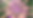 Untitled design (5).png