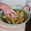Thumbnail: All Purpose Seasoning Blend