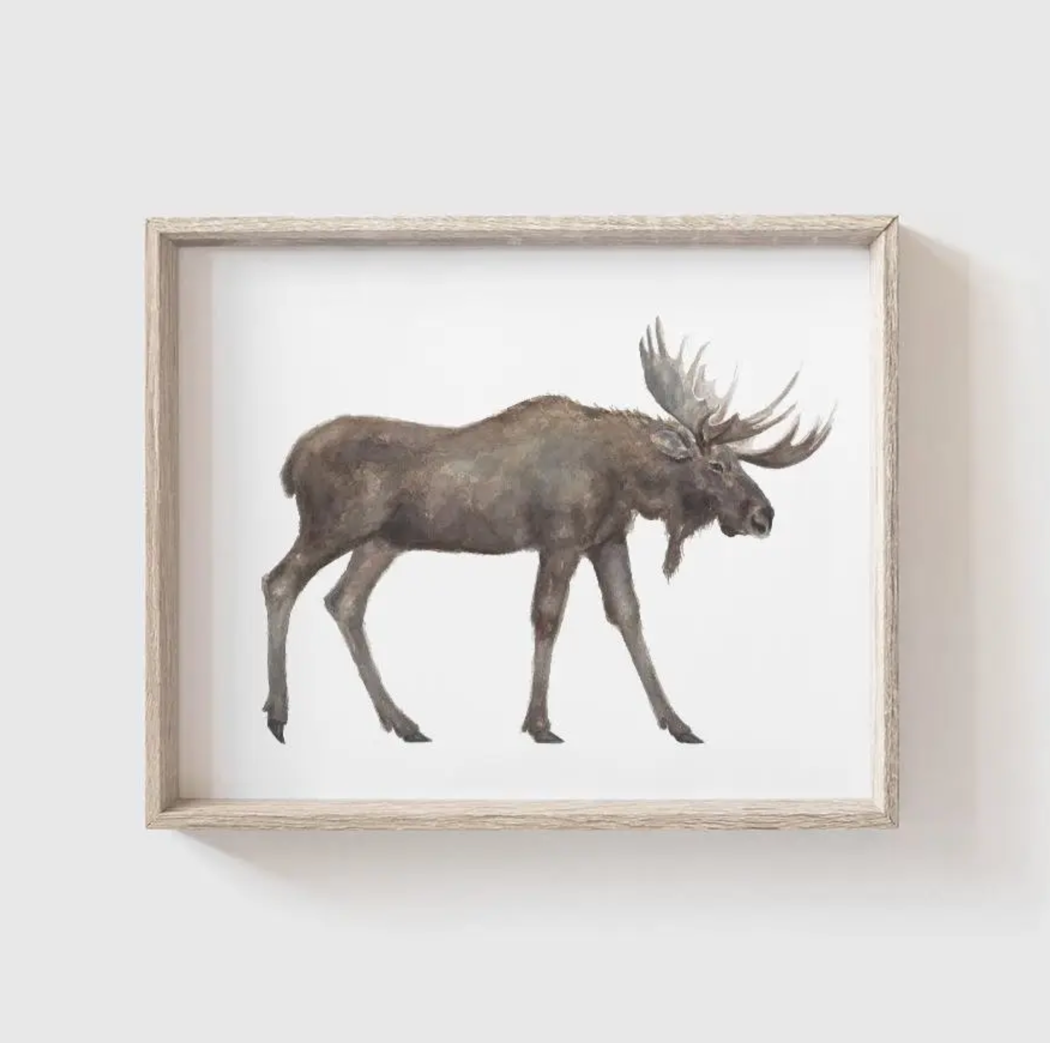 Moose Art Print