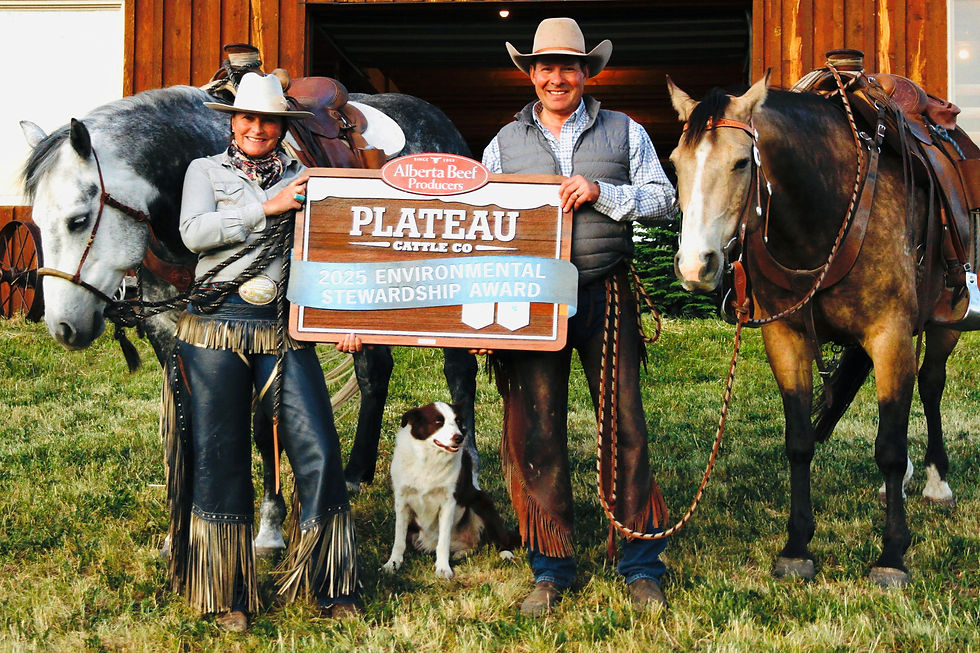 Picture Credit: Alberta Beef Producers