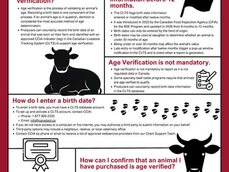 Birth Date Verification Threshold Changes to Better Reflect On-Farm Realities
