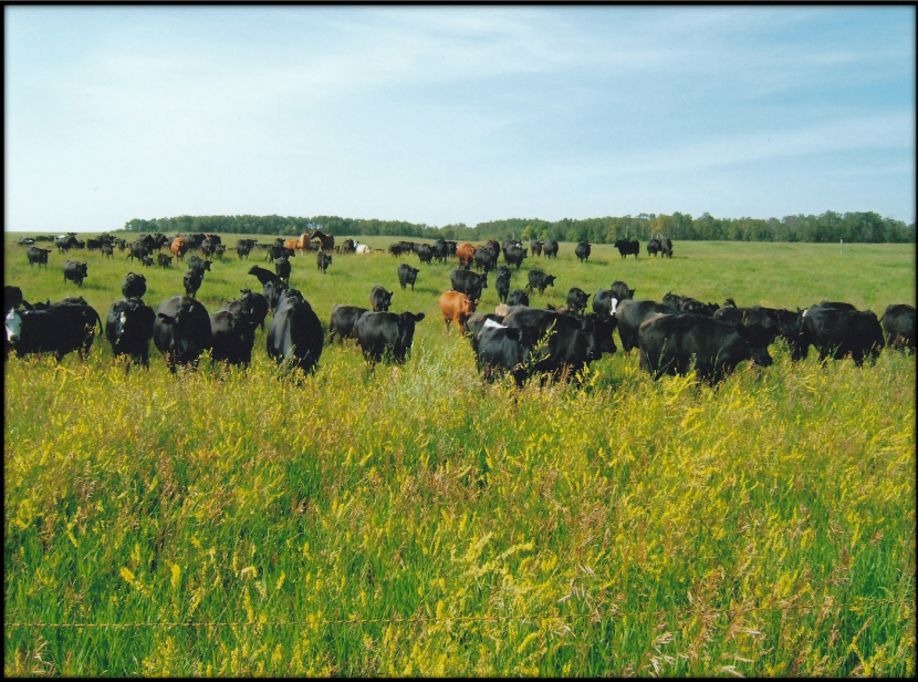 2026 TESA Nominee Profile: Saskatchewan— Ralph & Linda Corcoran
