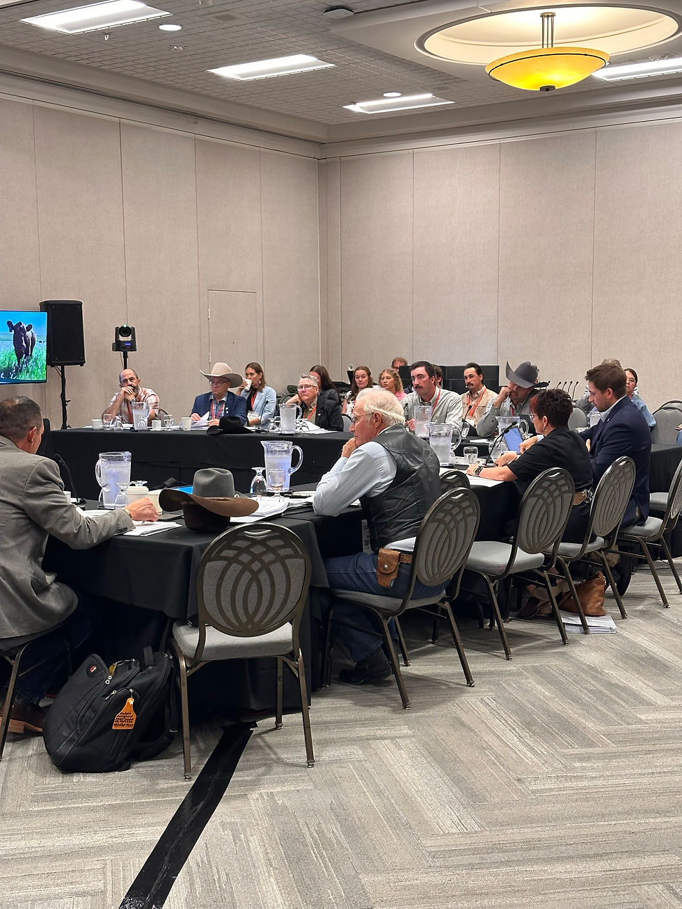 CCA Updates Following CCA Semi-Annual Meeting