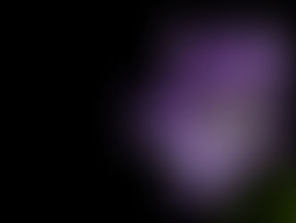 Poem, Flowering Shadows: Thoughts on Friendship