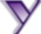 Y.png