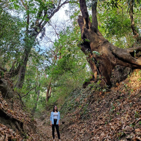 Tour al Sendero Uk'u'x Juyu