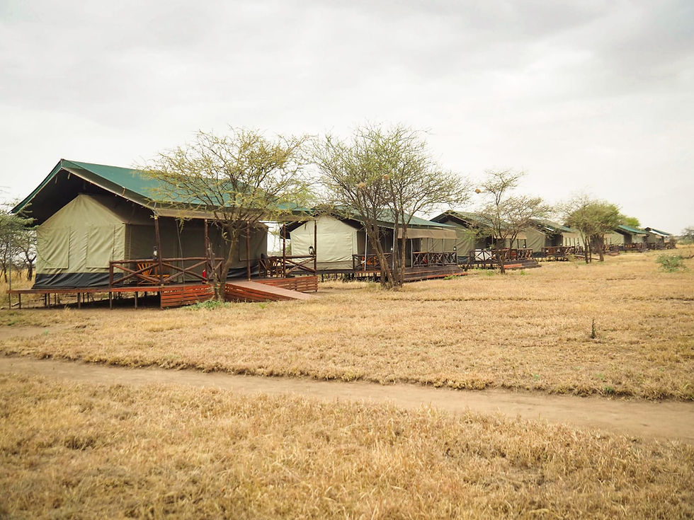 Thumbnail: Eleven Days Tanzania & Uganda (Serengeti & Gorillas Combo Tour)