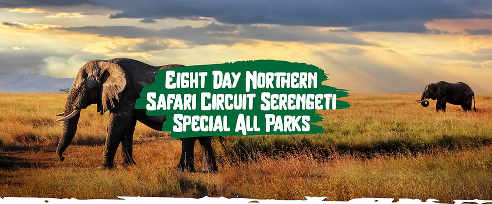 Thumbnail: Eight Day Northern Safari Circuit Serengeti Special All Parks