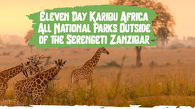 Eleven Day Karibu Africa All National Parks Outside of the Serengeti Zanzibar