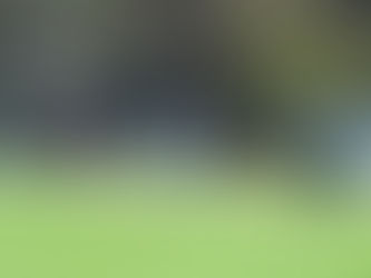 Sun Dec 7 matches: 9.30am update