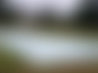 Sun Nov 24: Pitch checks needed