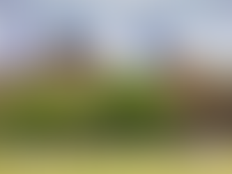 Match info March 16-17