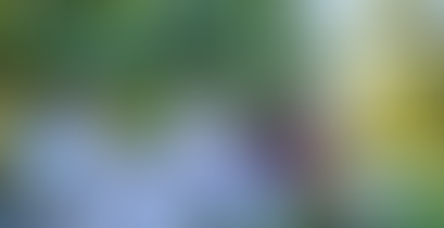 The weekend's scores Oct 26-27