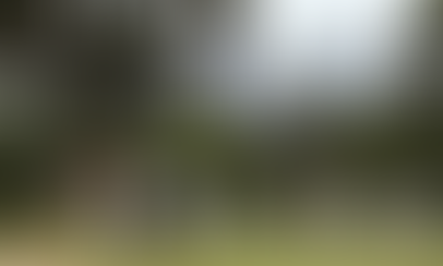 Covers not in use Oct 12-13