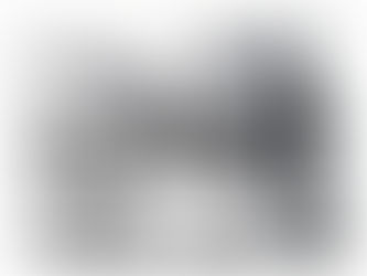 The weekend's scores Nov 23-24