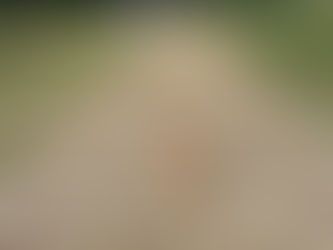 Match info, March 21-22