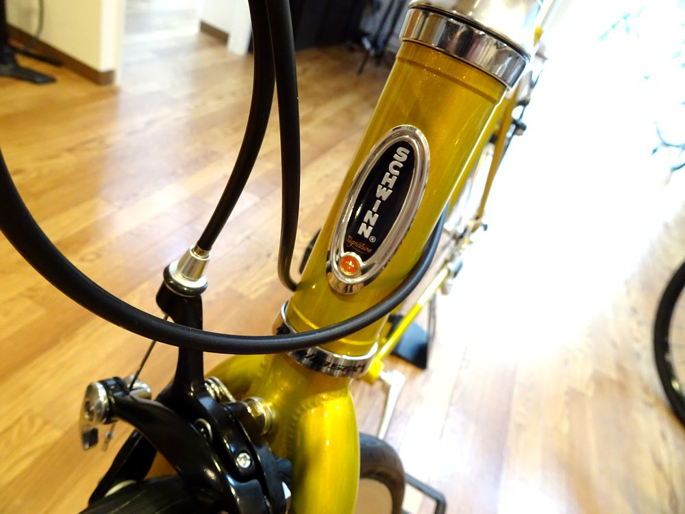schwinn slicker