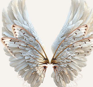 Screenshot 2025-11-21 at 3.27.44 PM.png