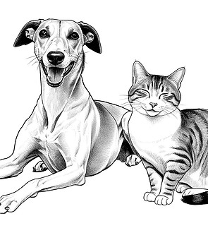 Levrier heureux et chat paisible_edited.jpg