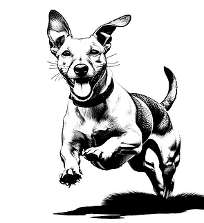 Dans ce style là, donne moi un chien avec beaucoup d'énergie qui se promene en noir et bl
