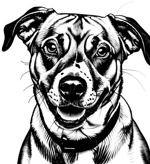 chien de refuge dans ce style là_edited_