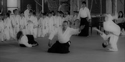 esami Aikido_1° corso (206)