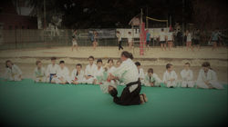 festa dello sport 2017 (26)