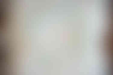 Wedding rings arranged in a heart shape during a Travis County Courthouse wedding in Austin