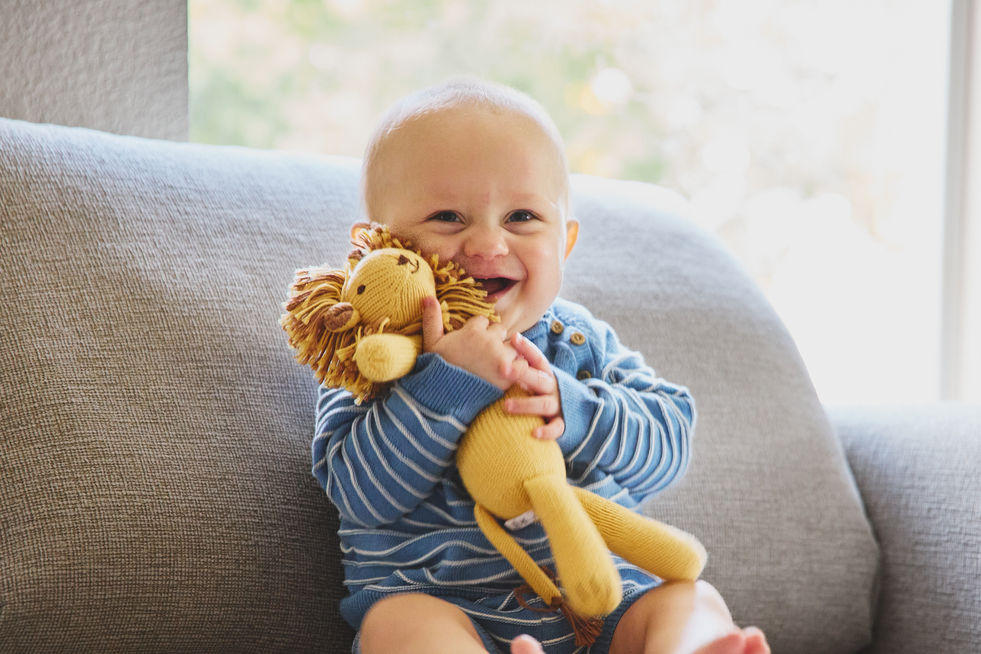 Laughing baby boy holding a stuffed lion