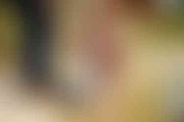 Bull Creek District Park family photos of parents helping their twin baby girls stand in the shallow creek in Austin, TX