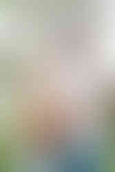 Husband kissing his pregnant wife on the forehead under the trees during a serene morning maternity session in Austin.