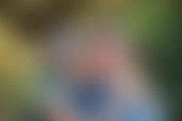 Woman kissing her husband on the cheek during their 45th wedding anniversary photoshoot at Sunken Garden Georgetown TX, surrounded by lush greenery.