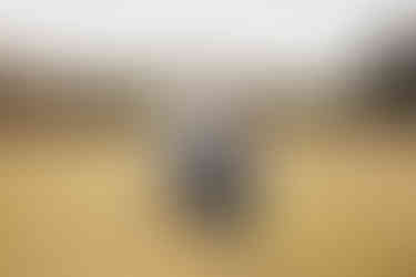 Family of three with a baby boy laughing in the park