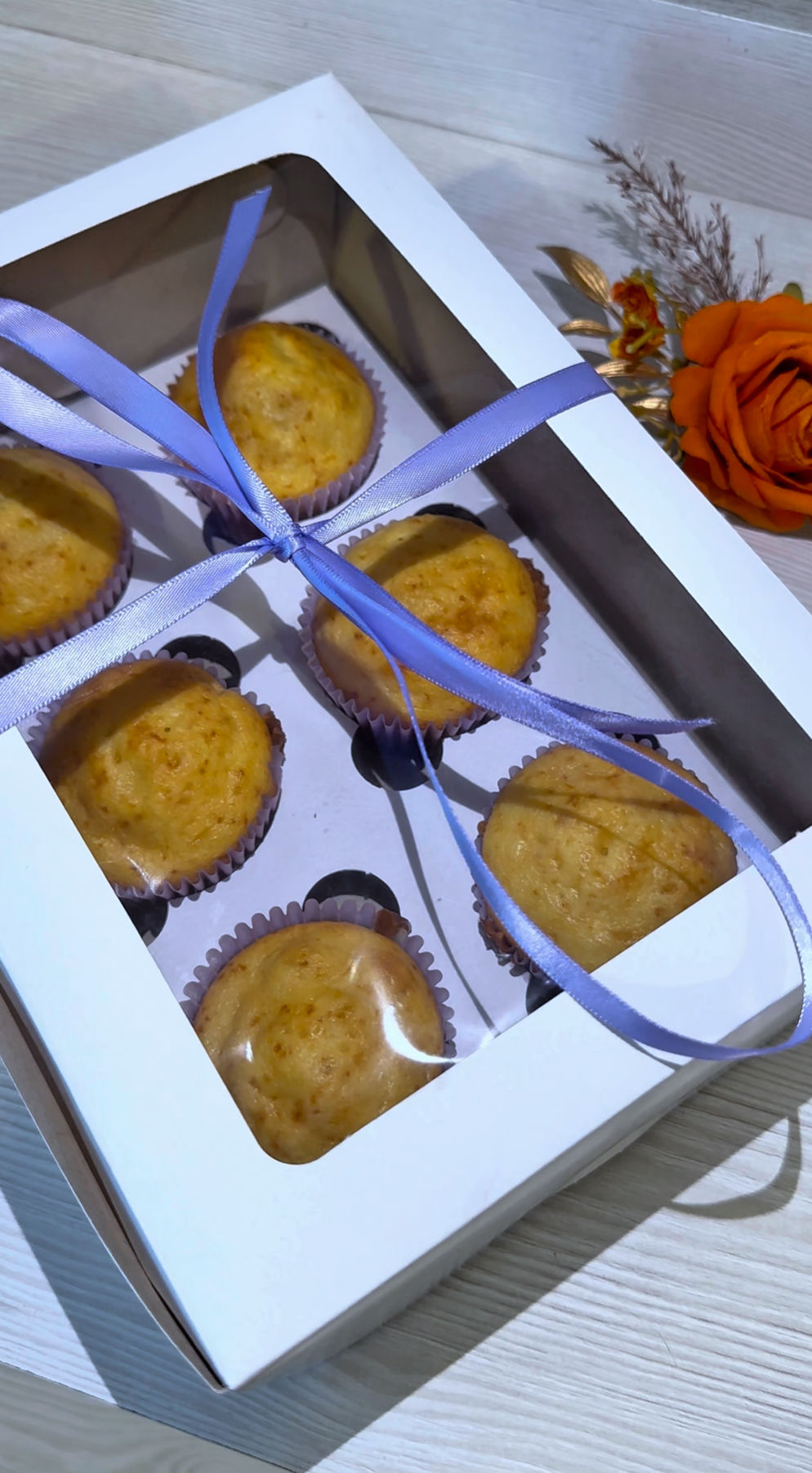 Plain Cupcakes