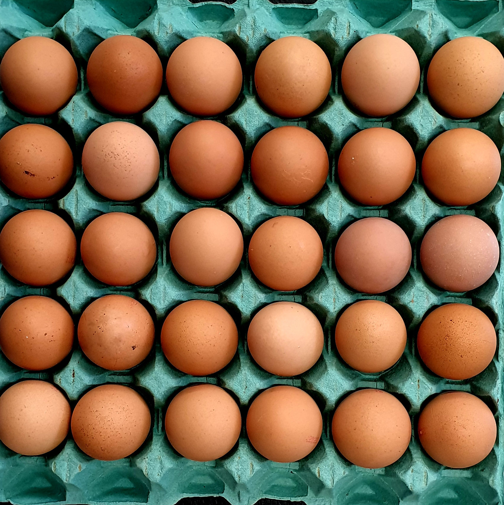 Tray of Eggs (30)