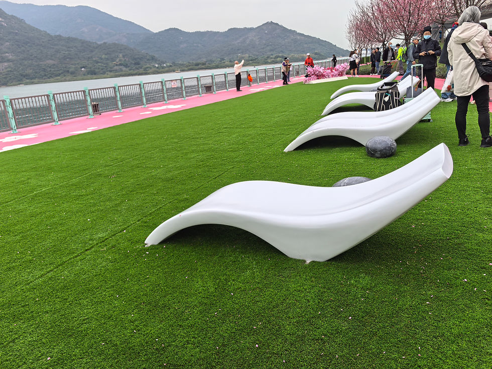Tung Chung Cherry Blossom