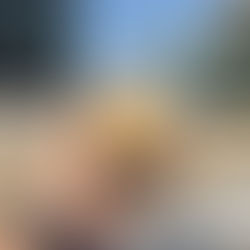 Is the food at 7/11 any good and how do I order it?